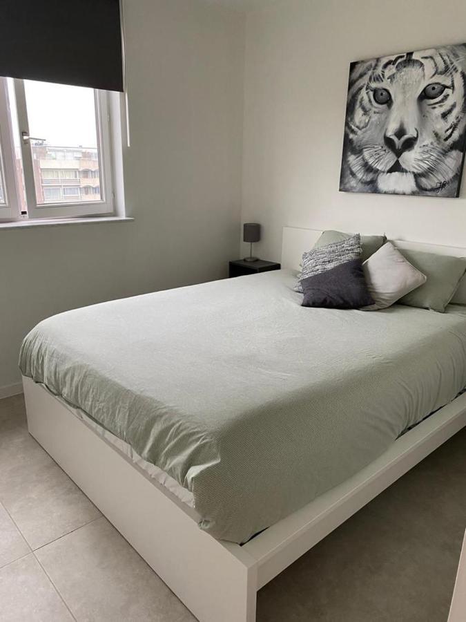 Gezellig 1 Slaapkamer Appartement Nabij Het Stadscentrum ハッセルト エクステリア 写真