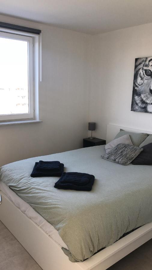 Gezellig 1 Slaapkamer Appartement Nabij Het Stadscentrum ハッセルト エクステリア 写真